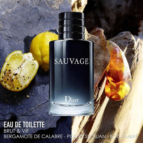 dior sauvage eau de toilette zeizoen|sauvage by Dior cologne.